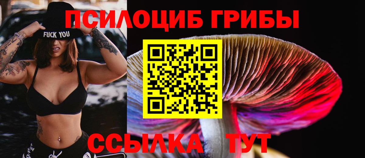 Галлюциногенные грибы прущие грибы Туймазы